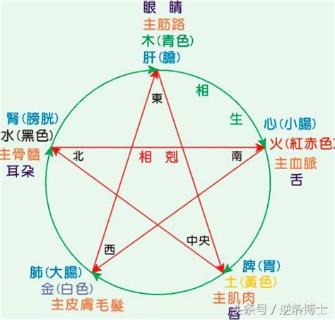 ♋ 意味 測五行屬性